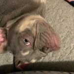 Buster Smith - @_.buster._xx - Instagram