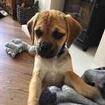 Buster Smith - @bustersmith63 - Instagram