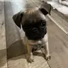 bustersmith1 - @bustersmith1 - TikTok