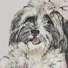 buster.smith - @buster.smith - TikTok