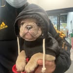 Buster - @buster_webber - Instagram