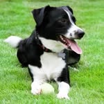 Buster Webb - @busterwebb - Instagram