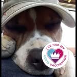 Buster Webb - @buster.webb.33 - Instagram