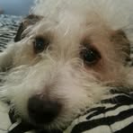 Buster Webb - Facebook