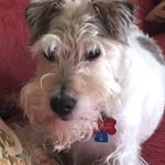 Butch Bates - @butch.bates49 - Instagram