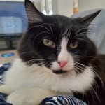 Butch Brown - @butch7849 - Instagram