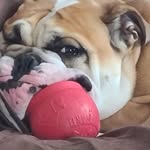 Butch Brown - @butch.brown743 - Instagram