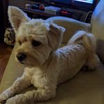 Butch Carter - @carter.construction.326 - Instagram