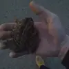 Butch Edwards - @butch.edwards5 - TikTok