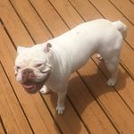 Butchy Watson Gabel - @butchywatson - Instagram