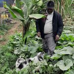 Watson Macharia - @watsonthebutcher - Instagram