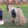 Butch glash - @butch.wright4 - TikTok