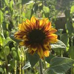 Butch Wright - @butch.wright.773 - Instagram