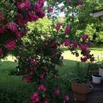 Janet G Byers Smith - @janetbyerssmith - Instagram