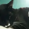 Byongho Ahn - @byongho.ahn - TikTok