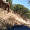 ⚾➳🐂•𝐁𝓪𐍅𝓻σ𝖓•🐎°᭄⚾ - @byronbarcena - TikTok