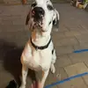 byron_ash - @byron_ash - TikTok