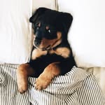 Byron Ashanti - @byronashanti - Instagram
