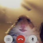 byron~Ashton- - @byronashtonty - Instagram