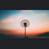 @byron_buchan08 - @byron_buchan08 - TikTok