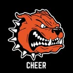 Byron Center 5th & 6th Cheer - @byroncentercheer56 - Instagram