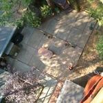 Byron Collier - @byronc4tree - Instagram