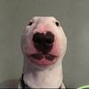 Byron Cunningham448 - @byroncunningham0 - TikTok