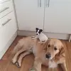 Byron Davies - @byron.davies8 - TikTok
