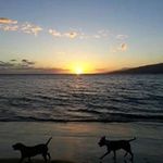Byron Dawson - @jakedonward - Instagram