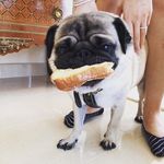 byrondean - @byrondean - Instagram
