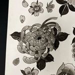 Byron Francis - @niceguybyron - Instagram