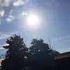 Byron Francis - @byron.francis1 - TikTok
