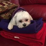 Byron Harper - @byronharper100 - Instagram