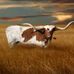 Byron Hatfield - Facebook