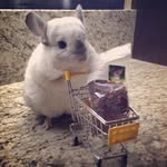 Byron Haynes - @byronhaynes45 - Instagram