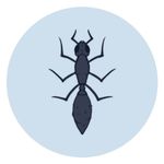 Byron 🐜 - @byron_hormigas - Instagram