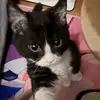 Byron - @byron_ho - TikTok