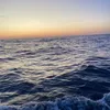 Byron Mcmullen - @byron.mcmullen71 - TikTok