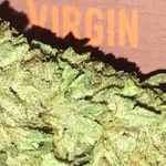 Byron miller - @techbudwa - Instagram