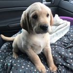 ByronMills - @byronmills05 - Instagram