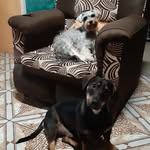 Byron Monroy - @byronmonroy26 - Instagram