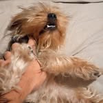 Byron Oliver - @byronoliver123 - Instagram