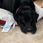Byron Olson - @byron.olson.397 - Instagram