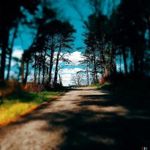 @byron_olson - Instagram