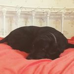 Byron Reeves - @byron_360_reeves - Instagram