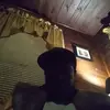 Byronrigsby - @anthonyadams0558 - TikTok