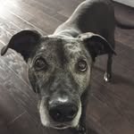 Star Byron Ross - @staracrossamerica - Instagram
