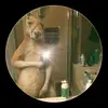 byron - @byronsuarez1 - TikTok
