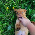 Byron Suárez - @byron.suarezh1 - Instagram