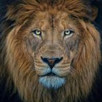 Byron Summers - @byron778 - Instagram